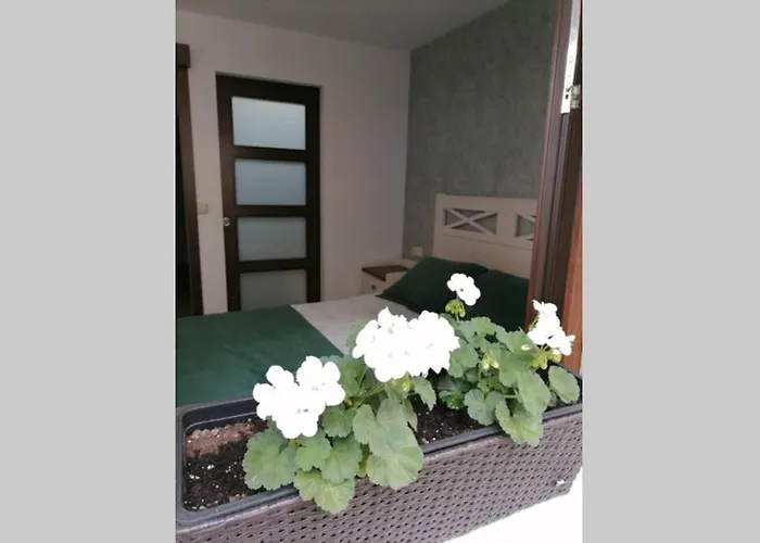 Casa Da Placina * Рианхо